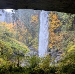 Meet your Posher, Ariana